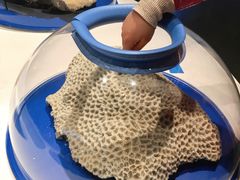 -浙江自然博物院(杭州馆)