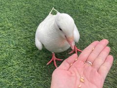 -IPARK购物中心