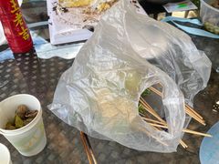 -Sultan pakistan苏单巴基斯坦
