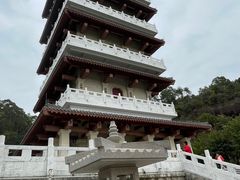 -大亚湾红树林城市湿地公园