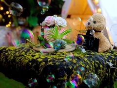 -佐佑帐篷环游记(南锣鼓巷店)