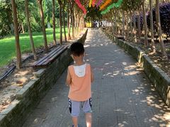 -武汉紫薇都市田园