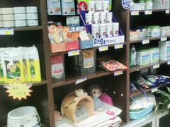 -瑞派·关忠动物医院·异宠专科·犬猫肿瘤·皮肤专科(望京店)