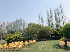 -上海长兴岛郊野公园