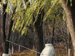 -长春世界雕塑园冰雪艺术天地