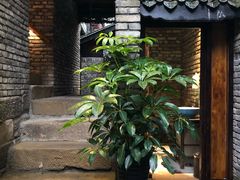 -鱼桥巷·美学川菜