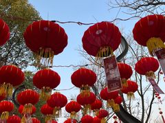 -武汉园博园(武汉自然博物馆)
