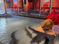 -胖姐渔村(中源大道店)