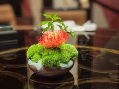 -北京四季酒店·采逸轩