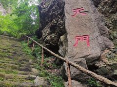 -天女山森林公园