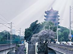 -黄鹤楼公园(黄鹤楼)