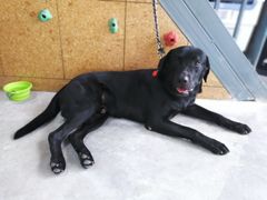 -尽峰攀岩 Acme Climbing