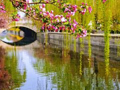 -海棠花溪(元大都城垣遗址公园)