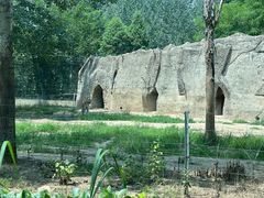 -秦皇岛野生动物园