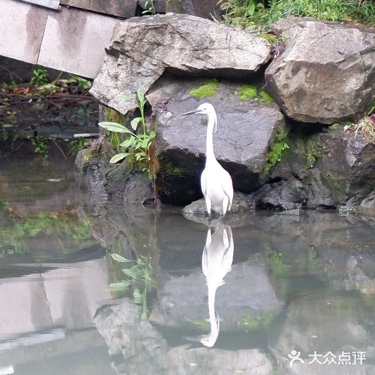 水上巴士7号线，体味老杭州的味道