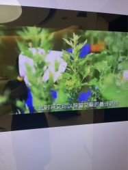 -美丽妈妈产后恢复中心(南桥旗舰店)