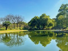 -上海共青森林公园