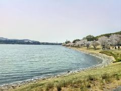 -羊山湖公园