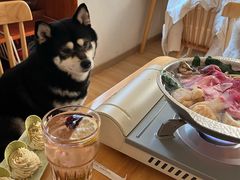 -柴の食堂·日式家庭料理·熊之肆(大学路店)