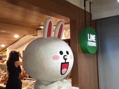 -line friends(明洞旗舰店)
