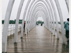 -大兴滨河森林公园