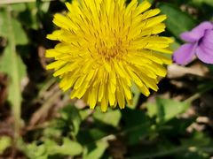 -天津东丽湖风景区