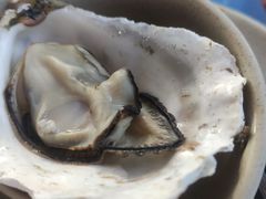 -千岛蚝高压锅生蚝·人参火锅(白云万达店)