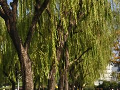 -上海大学(宝山校区)