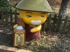 -上海都市菜园