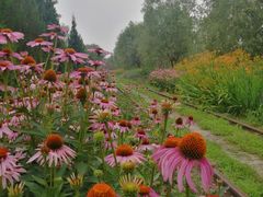 -永定河休闲森林公园