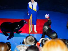 -烟台海昌鲸鲨海洋公园