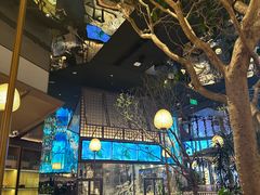 -桂满陇·海市蜃楼·黑金(国金店)