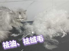 -瑞鹏宠物医院·超声·骨科·奇麟分院(蜀都万达店)