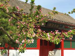 -海棠花溪(元大都城垣遗址公园)