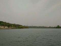 -羊山湖公园