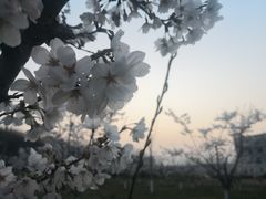-南京邮电大学(仙林校区)
