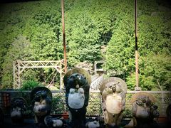 -岚山嵯峨野观光小火车