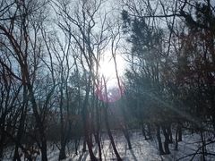 -帽儿山国家森林公园