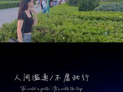 -呼伦贝尔大草原