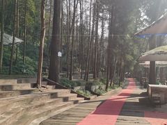 -都江堰普照寺