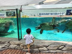 -海合安成都极地海洋公园
