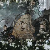 站在舞台上的你,是那么美