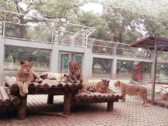 -西安秦岭野生动物园