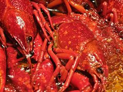 -杨氏青龙虾·羊蝎子(珠江路店)