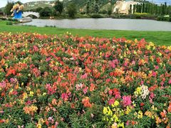 -七彩云南欢乐世界