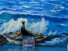 -左海海底世界