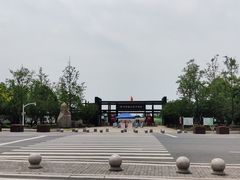 -杭州湾海上花田景区
