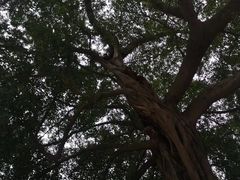 -乌山风景区