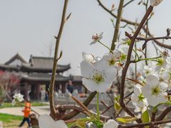-赵州桥景区