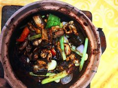 -天宝食坊·啫啫煲大排档(西华路店)